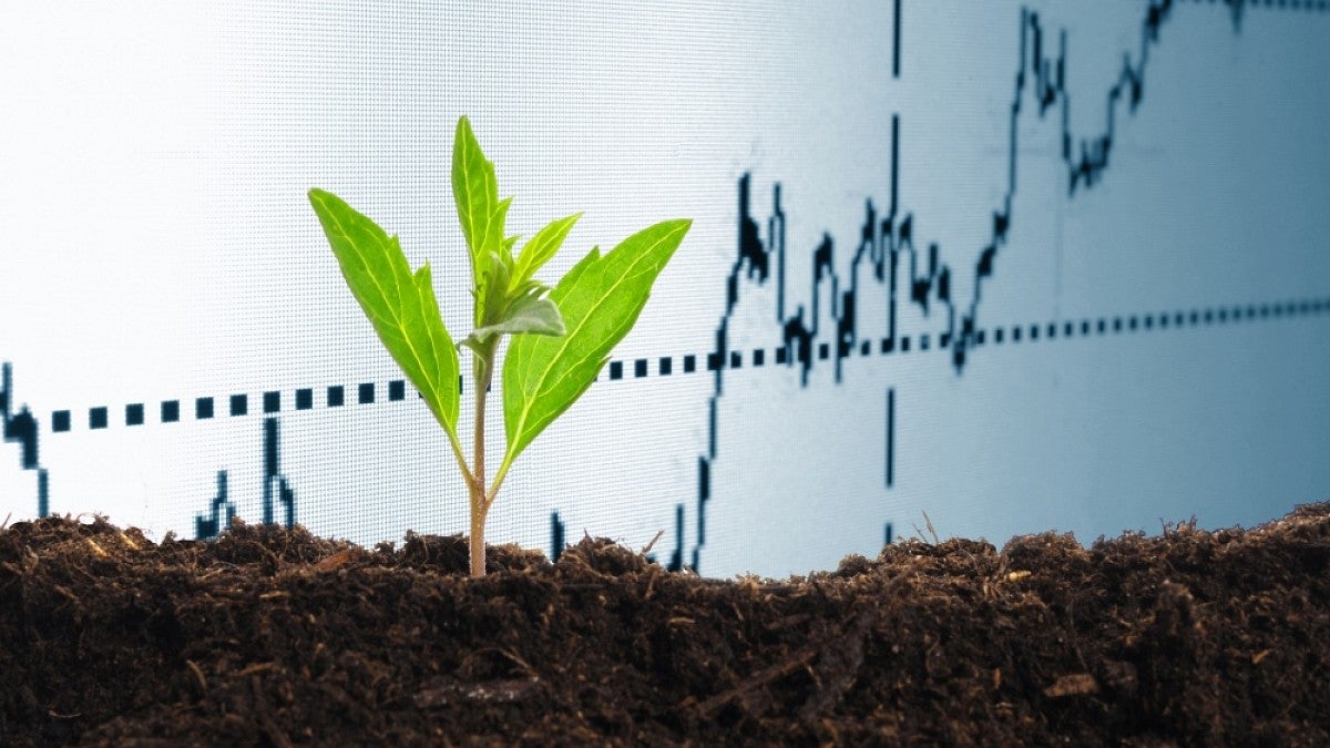 Green plant and stock market graph