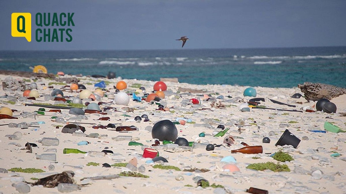 Plastics on beach