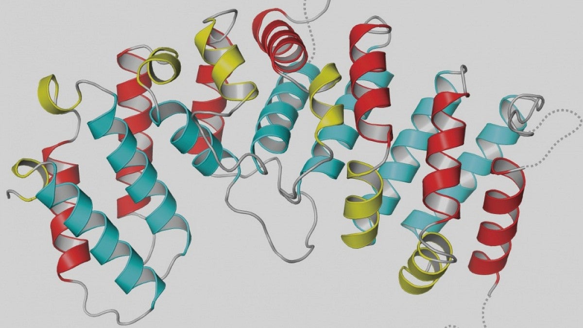 Illustration of a protein