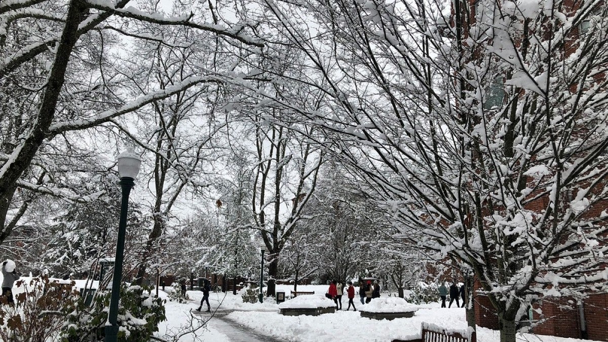 Heavy snow on campus