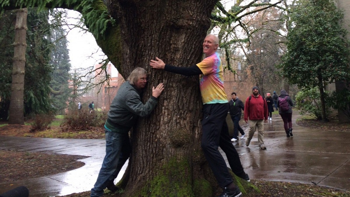 Bill Walton hugging a tree on the UO campus