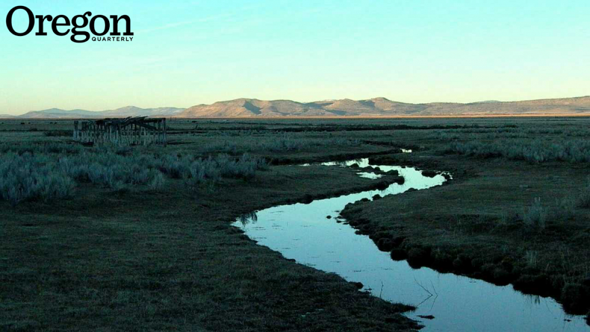 View of the Lower Klamath Basin. Photograph by Grayson Mathews
