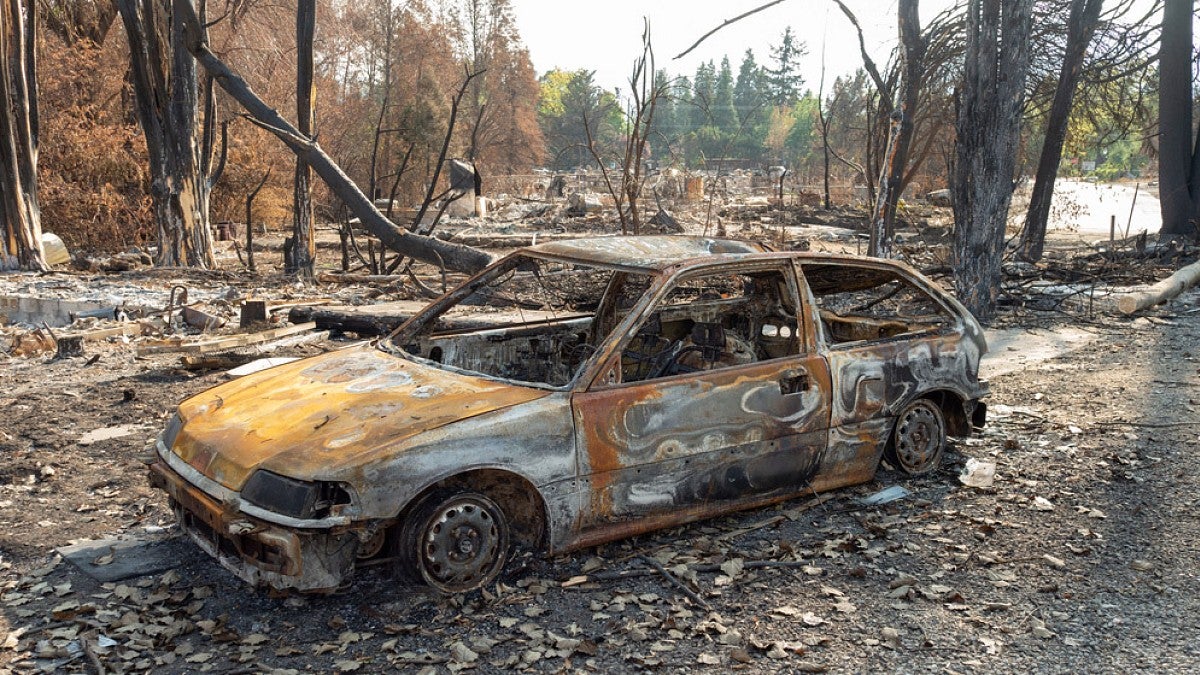 Houses destroyed by wildfire