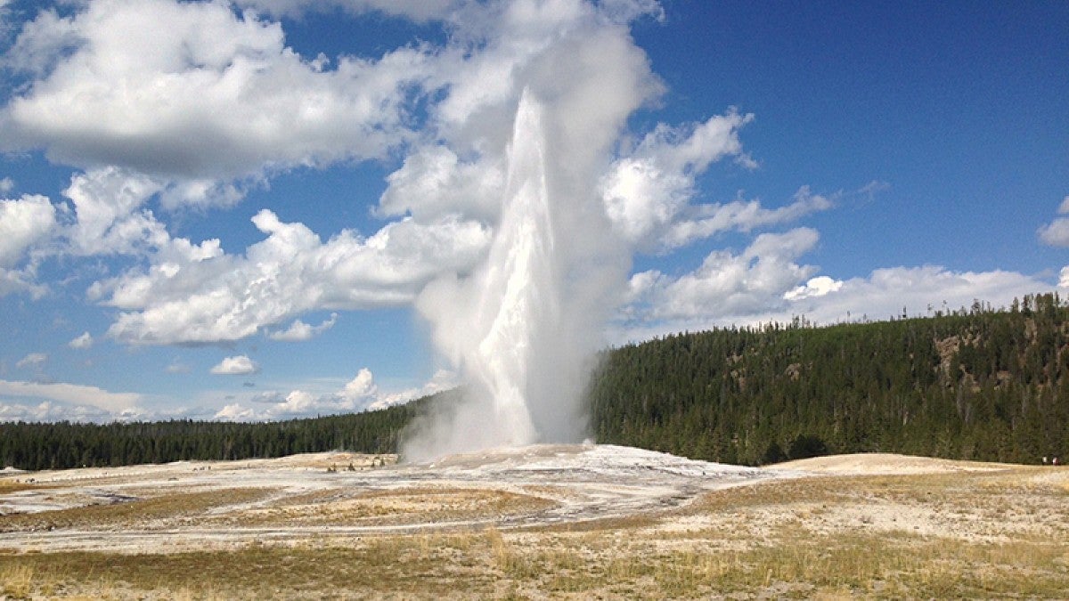 An erupting geyser at Yellowstone National Park