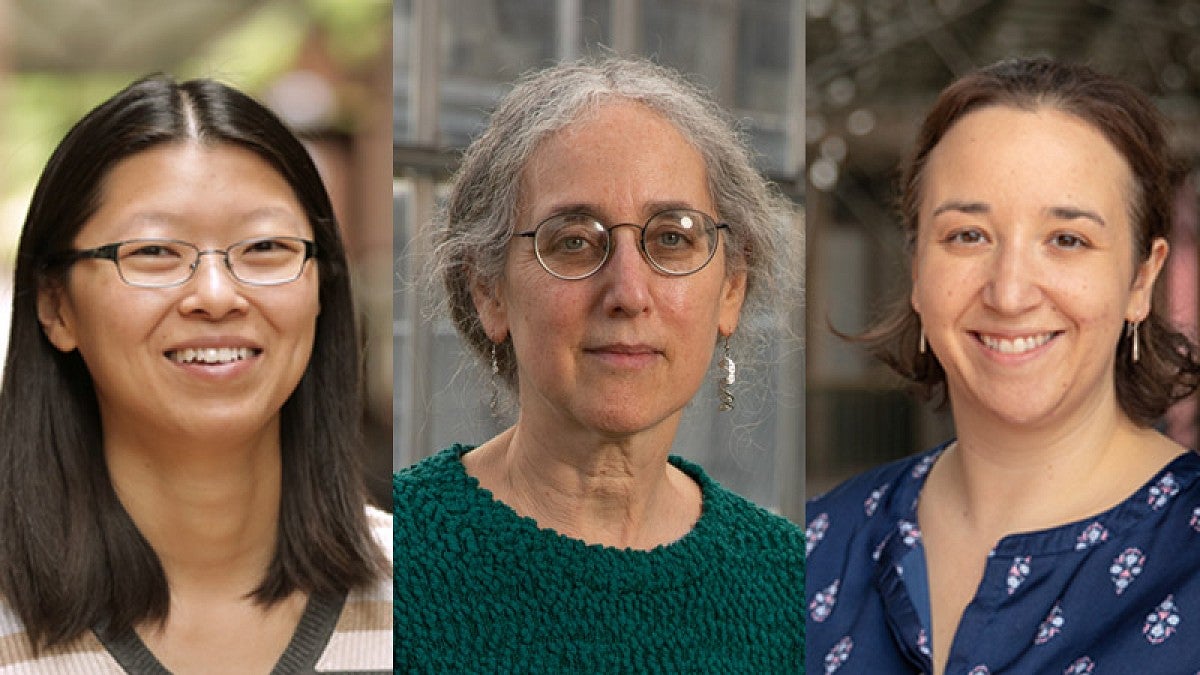 Left to right: chemist Cathy Wong, molecular biologist Alice Barkan, particle physicist Stephanie Majewski