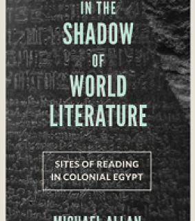 In the Shadow of World Literature cover