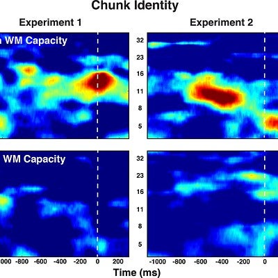 Images from two experiments shows EEG-captured brain activity in subjects with good and poor working memory