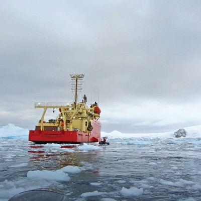 The RV Lawrence M. Gould, an icebreaker used by the National Science Foundation in the Southern Ocean. The Gould provides the only regular transportation to Palmer Station, Antarctica. Photograph by John Postlethwait