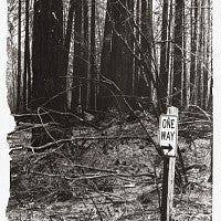 Photo of street sign and forest