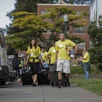 Volunteers moving boxes down the sidewalk