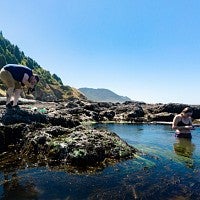 Students filming at tide pool