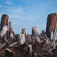 Painting of stumps